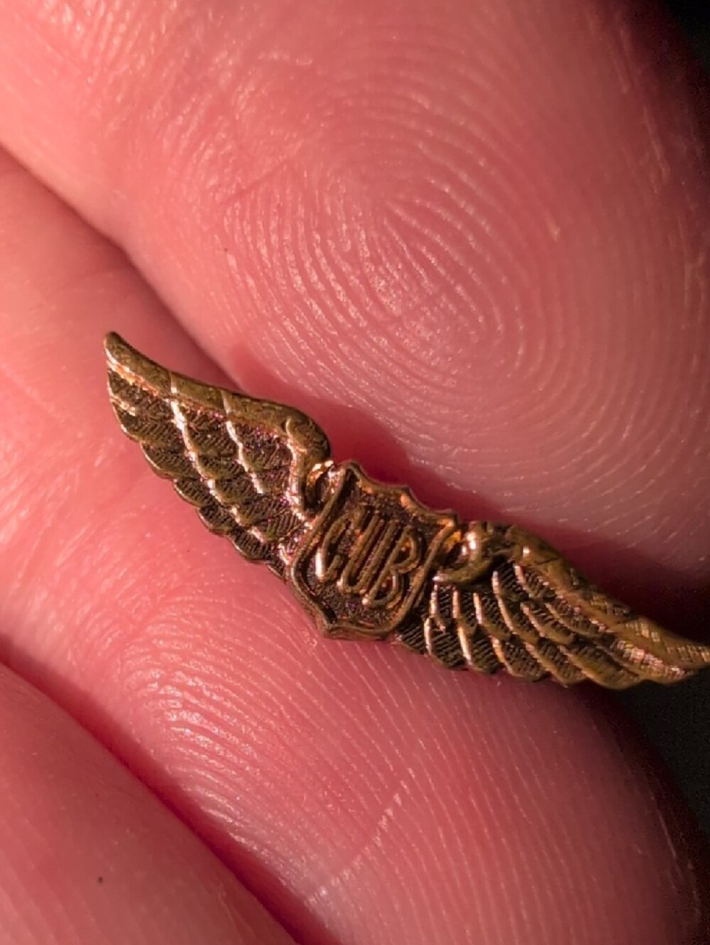 ❤️‍🔥10/$10❤️‍🔥 Cub Gold Winged Pilot/Flight Pin - Picture 4 of 5